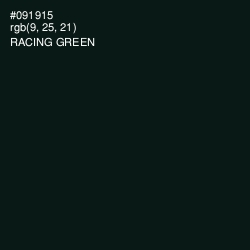 #091915 - Racing Green Color Image